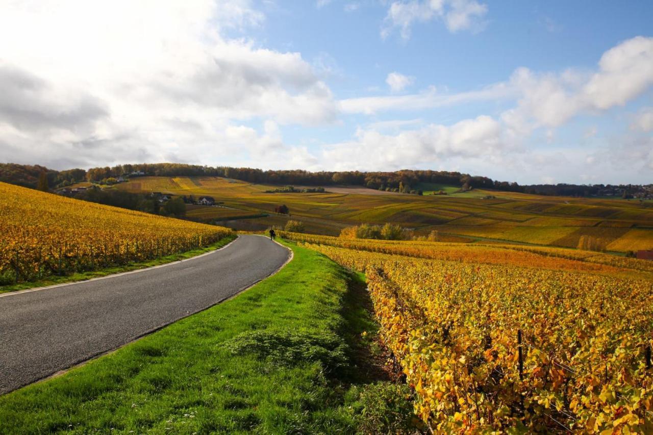 Hostellerie Briqueterie & Spa Champagne Vinay  Exterior foto Vineyards in the Moselle valley